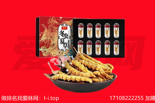 新市区回收虫草.jpg